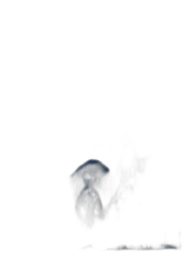 张明云