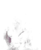 闫玲娣